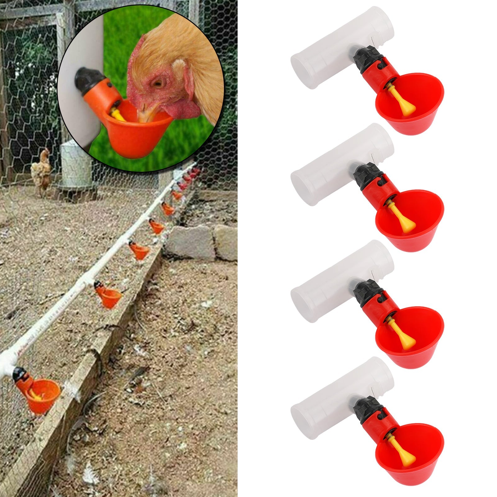 Automatic Poultry Water Drinkers 4-Piece Chicken Waterer Set CA Market