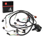 Main Electrical Wiring Wire Harness for Yamaha YFZ450 2004-2005