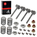Intake Exhaust Seals Spring Valve Spring Retainers Valve Collet Keepers for EZGO 4 Cycle Gas Golf Cart Fuji Robin 295 350CC