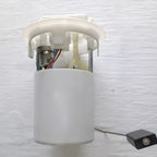 Fuel Pump for Peugeot Citroen (1998–2015)