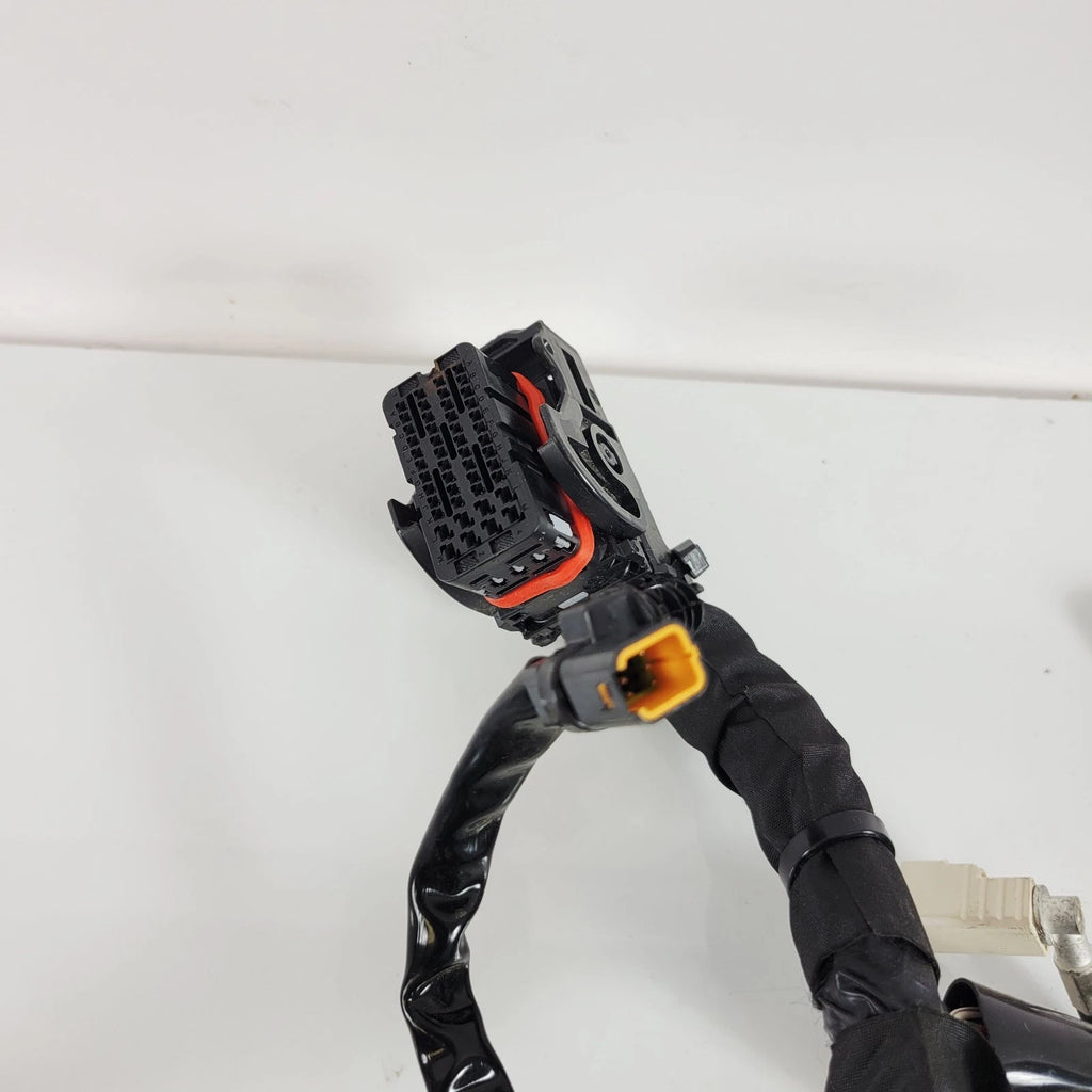Main Wiring Harness Loom for Harley-Davidson Tri Glide FLHTCUTG (2021–2024)