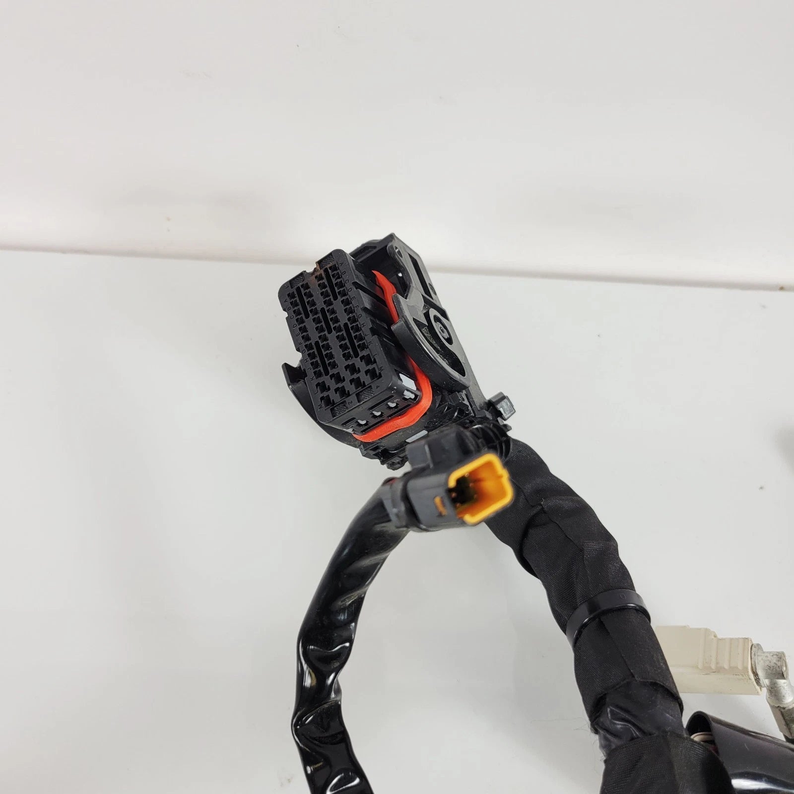 Main Wiring Harness Loom for Harley-Davidson Tri Glide FLHTCUTG (2021–2024)