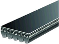 Multi Rib Belt for Jaguar XJS (1993–1996) WH792ZX