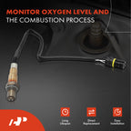 2X O2 Oxygen Sensors for BMW 525i 530i 2006–2007