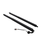 Liftgate Actuator for Ford Escape (2013–2019)