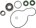 Water Pump Rebuild Kit for KTM (821331mse)