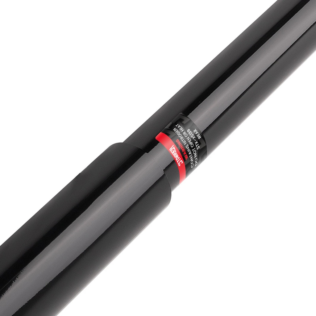 Rear Shock Absorber Assembly for Ford F-150, Lincoln Mark LT (2004–2010)