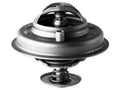 Thermostat for Jaguar XJ8 4.0L V8 (1998–2002) BV646DN