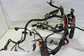 Wiring Harness Assembly for Johnson 150-175hp (1997–1998) 0586330