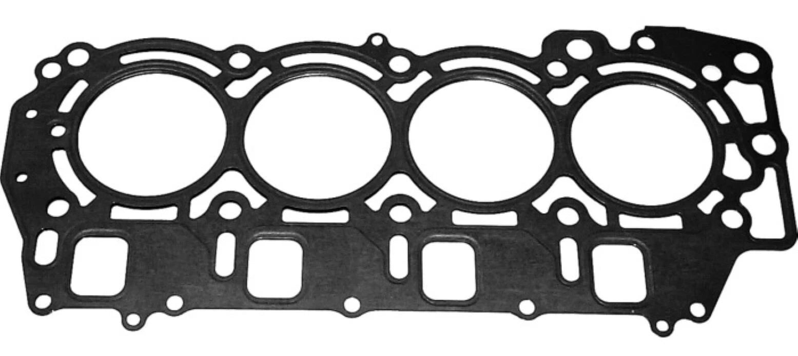 WSM Gasket for