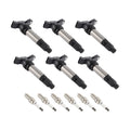 Set of 6 Ignition Coils & Spark Plugs for Land Rover LR2, Volvo S80, XC60, XC70, XC90