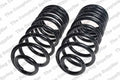 Rear Coil Spring Kit for Buick (4412136)