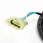 Ignition Coil Plug CDI & Wire Harness for Honda FourTrax TRX300 TRX300FW (1994–1997)