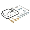 Carburetor Service Kit for Honda Shadow VLX 600 VT600C (1999–2007)