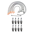 Denso Wire Set & 8 Double Platinum Spark Plugs for Dodge 7.0L V8