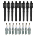 Set of 8 Ignition Coils & NGK Laser Iridium Spark Plugs for Mustang V8