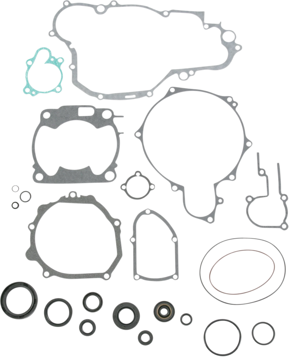 Motor Gasket Kit with Oil Seal for Yamaha (811666mse)