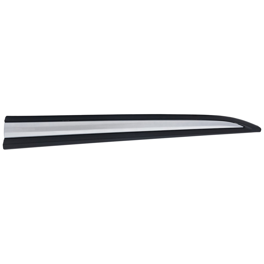 Door Moldings for Front Passenger Right Side Lower - Compatible Models