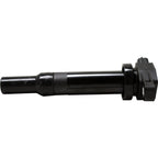 Ignition Coil Set of 6 for Kia Rondo, Hyundai Entourage