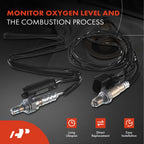 2X O2 Oxygen Sensors for BMW 325i 325Ci (2001–2006)