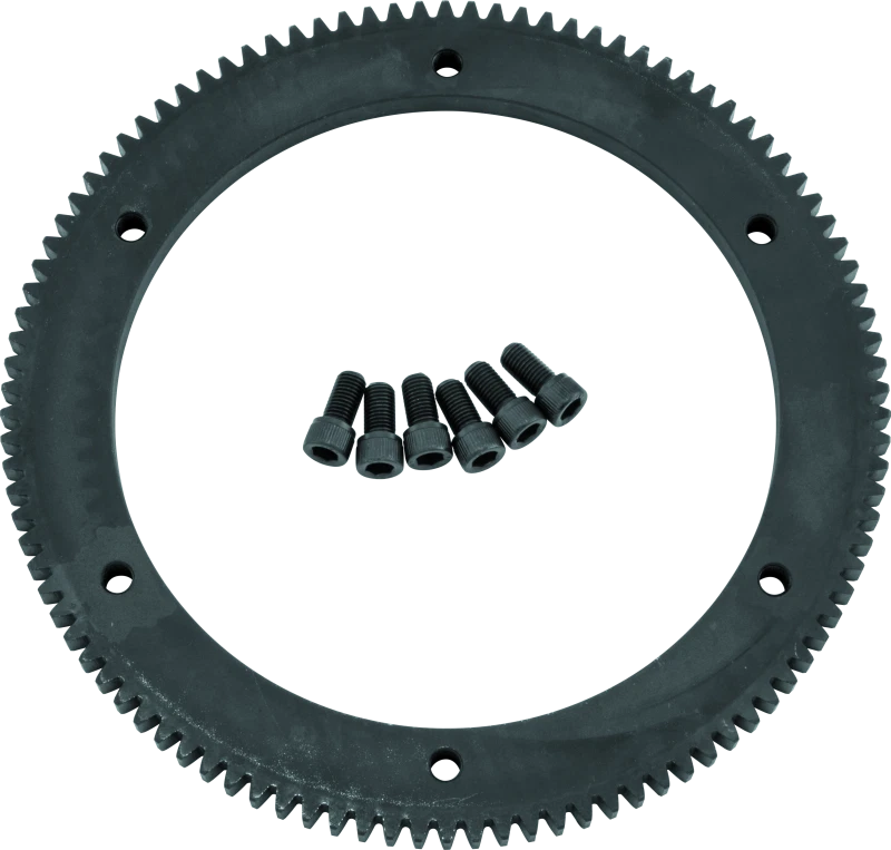 Starter Ring Gear for Big Twin 94–97 (102 Tooth)