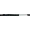 Lift Support for Ford Focus (2005–2011) Trunk Lid