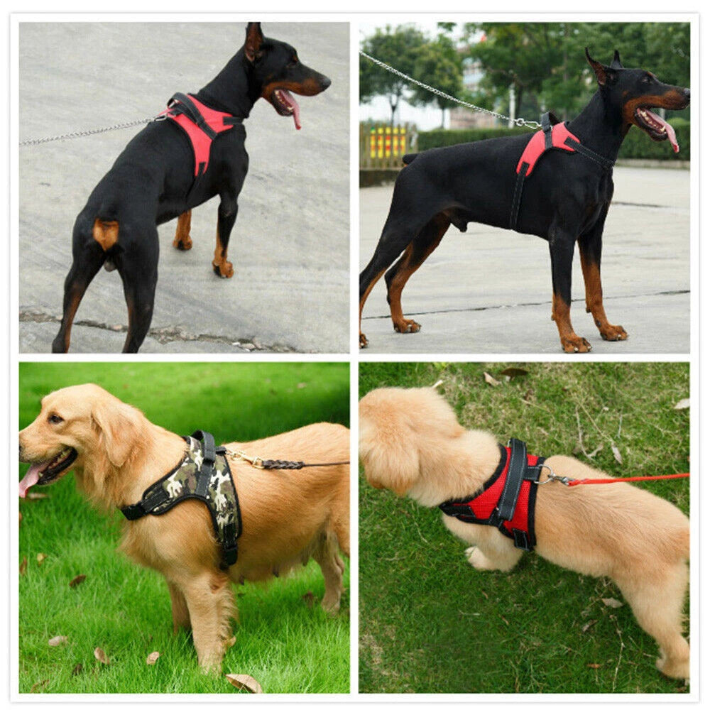 Adjustable No-Pull Dog Harness Vest for S-XL Dogs - Outdoor Handle