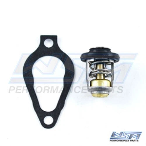 WSM Thermostat for
