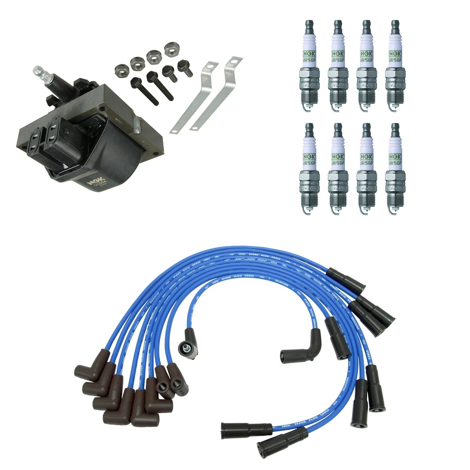 NGK Ignition Coil Wires & 8 Platinum Spark Plugs Kit for P30 (1990–1999)
