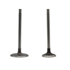Intake & Exhaust Valves for Chrysler Dodge Ram 1500 Jeep Charger (2009–2018)