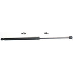 Set of 2 Liftgate Lift Supports for Dodge Durango