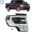 Projector Headlight for Ford F150 (2013–2014) D3S HID Electroplated Right