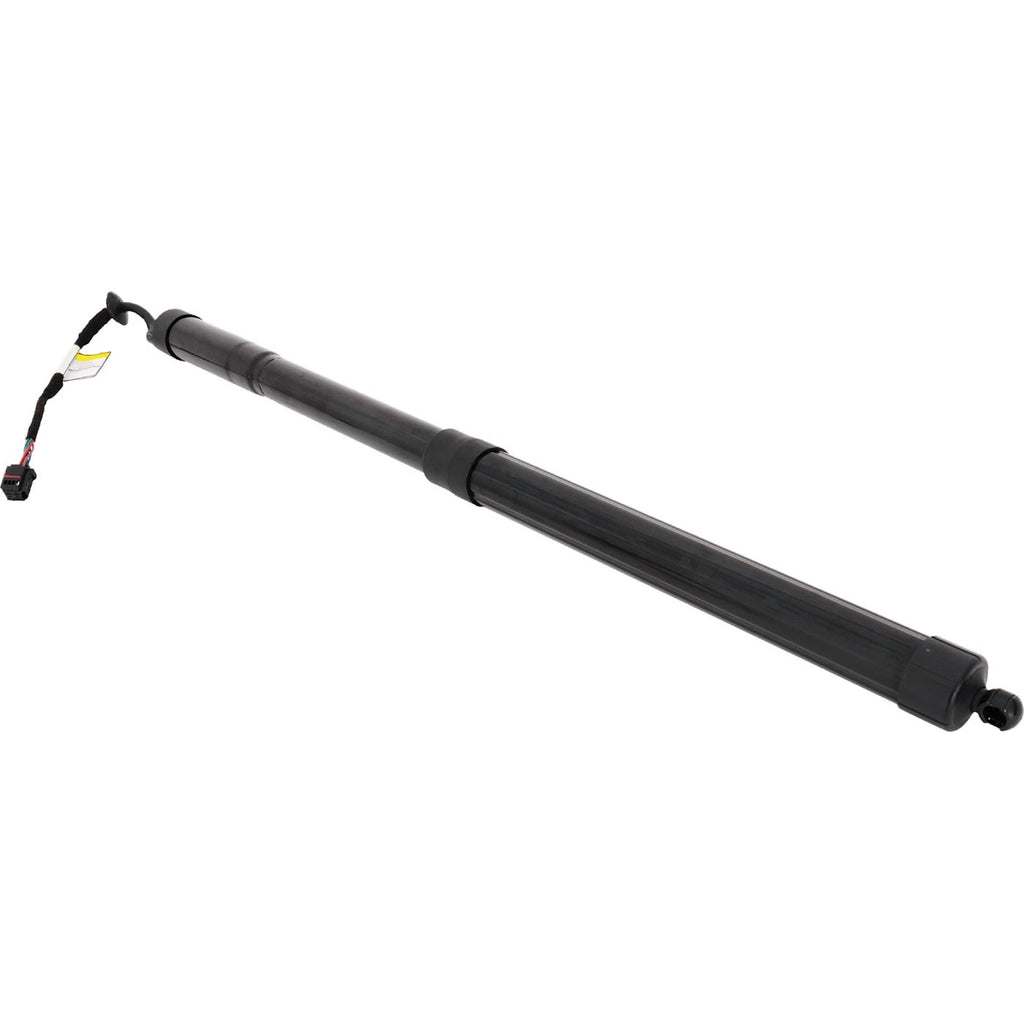 Set of 2 Liftgate Lift Supports for Range Rover