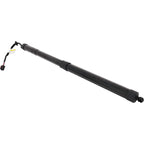 Set of 2 Liftgate Lift Supports for Range Rover