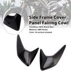 Side Frame Cover Panel for Triumph Street Triple 765 R/RS (2020–2022) Carbon A0