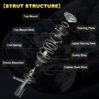2X Complete Strut Shock Absorber Spring Assembly for Lexus RX330 (2004–2006)