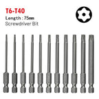 Screwdriver Bit Set for Household Use (Alloy Steel, Magnetic Head)