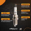 Iridium Spark Plugs for Acura RL (2005–2008) IZFR6K-11S 9807B-561BW