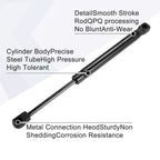 2X Rear Tailgate Lift Support Gas Struts for Dodge Challenger (2008–2018)