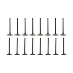 Set of 16 Head Gasket Bolts & Intake Exhaust Valves for Chevrolet Buick GMC (2010–2016)