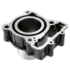 Cylinder Barrel Piston Gasket Kit for Duke 250 RC 250 Adventure 250 (2017–2023)