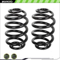 Pair Rear Lift Coil Springs for BMW X3 (2004–2010) L6 2.5L 3.0L