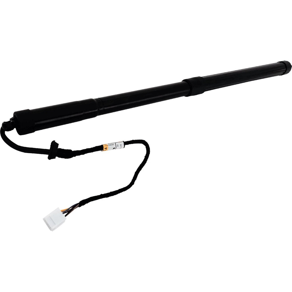 Liftgate Lift Supports for Lexus RX350 (2016–2019)