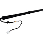 Liftgate Lift Supports for Lexus RX350 (2016–2019)