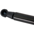 Liftgate Lift Supports for Toyota Prius (2010–2015)
