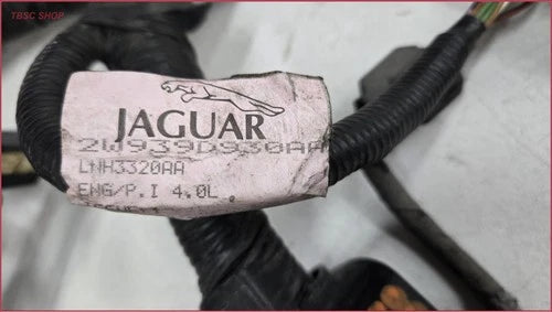 Fuel Wire Harness for Jaguar XJ8 J8L VDP 4.0L V8 (2002–2003) LNH3320AA