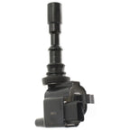 Set of 2 Ignition Coils for Kia Amanti, Hyundai Santa Fe (2003–2005)