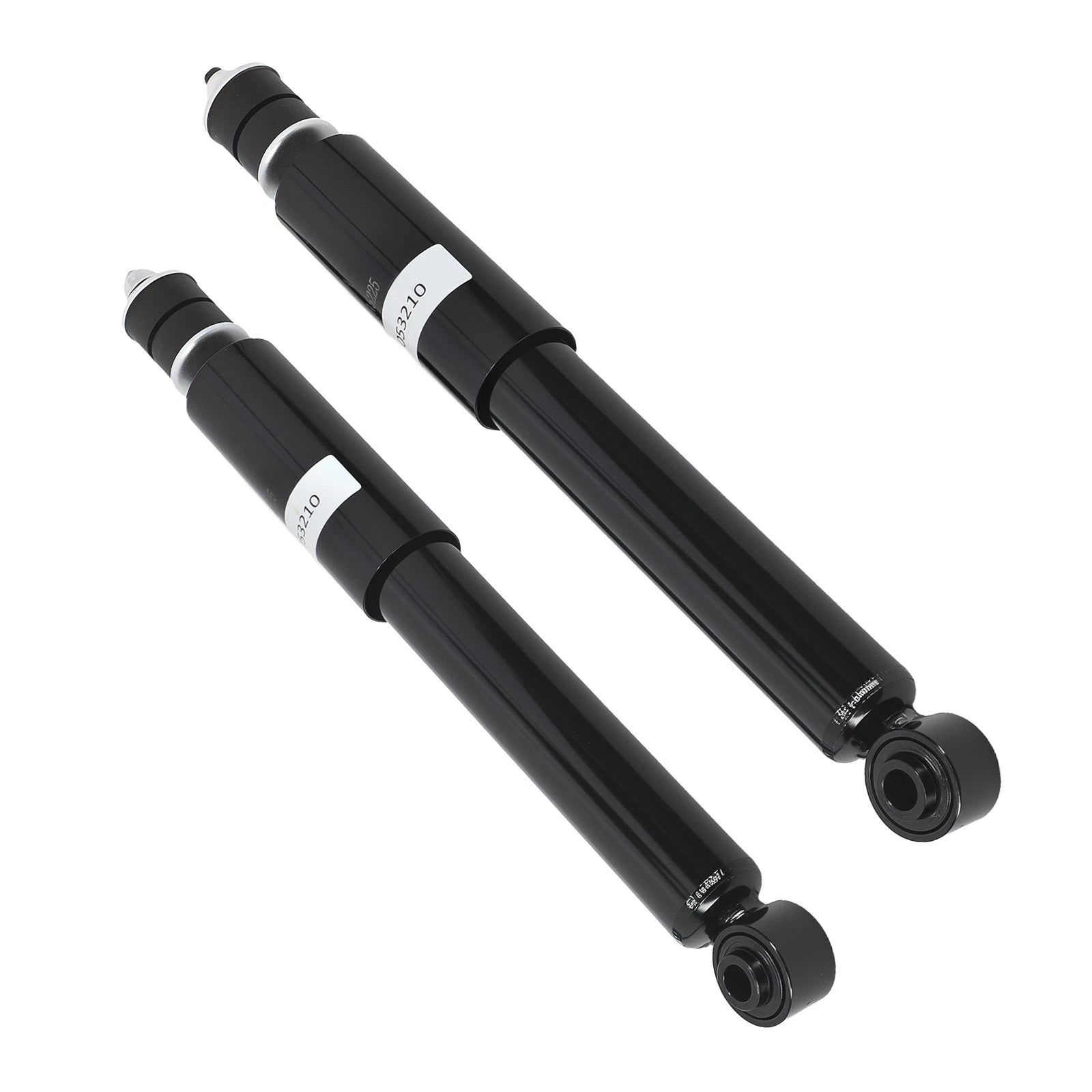 2X Rear Shock Absorber Assembly for Dodge Ram 1500 (2002–2005)