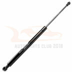 Set of 2 Tailgate Lift Supports for Scion tC (2011-2016)
