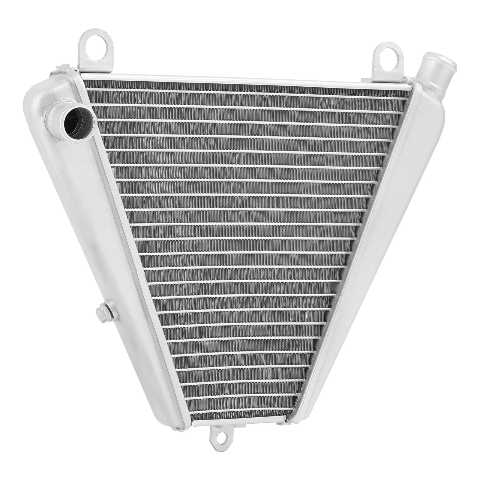 Lower Radiator for Ducati Panigale V2 (2020–2024) Panigale V2 Troy Bayliss (2022)